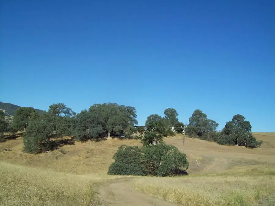 20077 Panoche, Tres Pinos, CA 95075 - #3