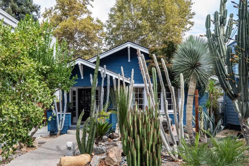 369 Hull Avenue, San Jose, CA 95125 - #1