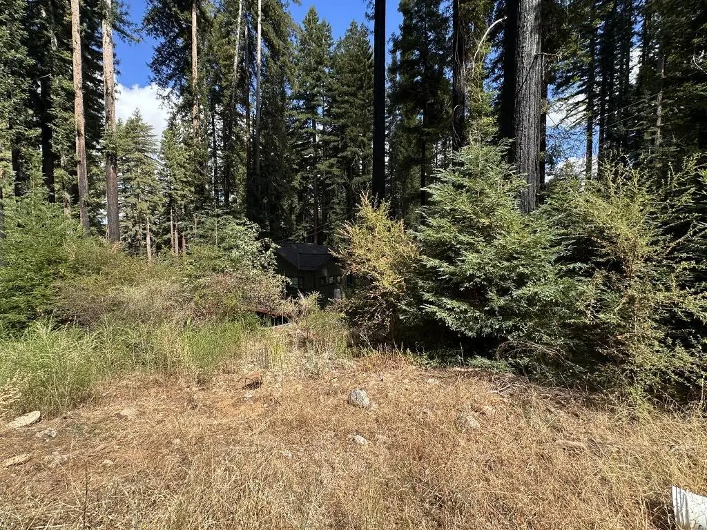 604 Acorn Drive, Boulder Creek, CA 95006 - #1