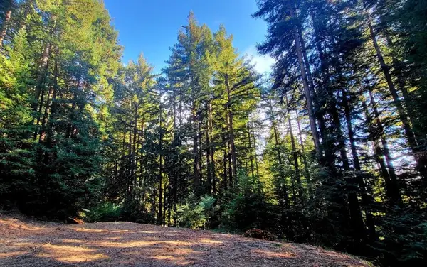 0 Redwood Lodge Road, Los Gatos, CA 95033