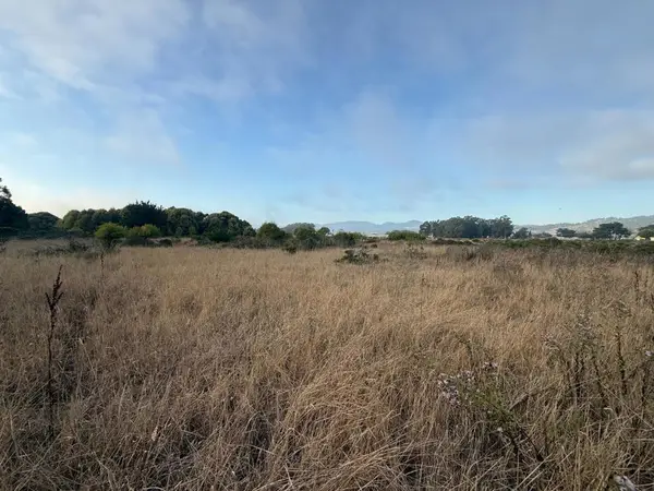 0 Bonita Avenue, Half Moon Bay, CA 94019