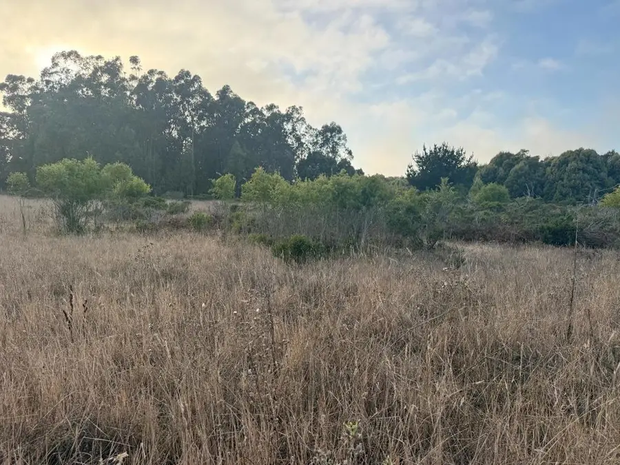 0 Bonita Avenue, Half Moon Bay, CA 94019 - #3