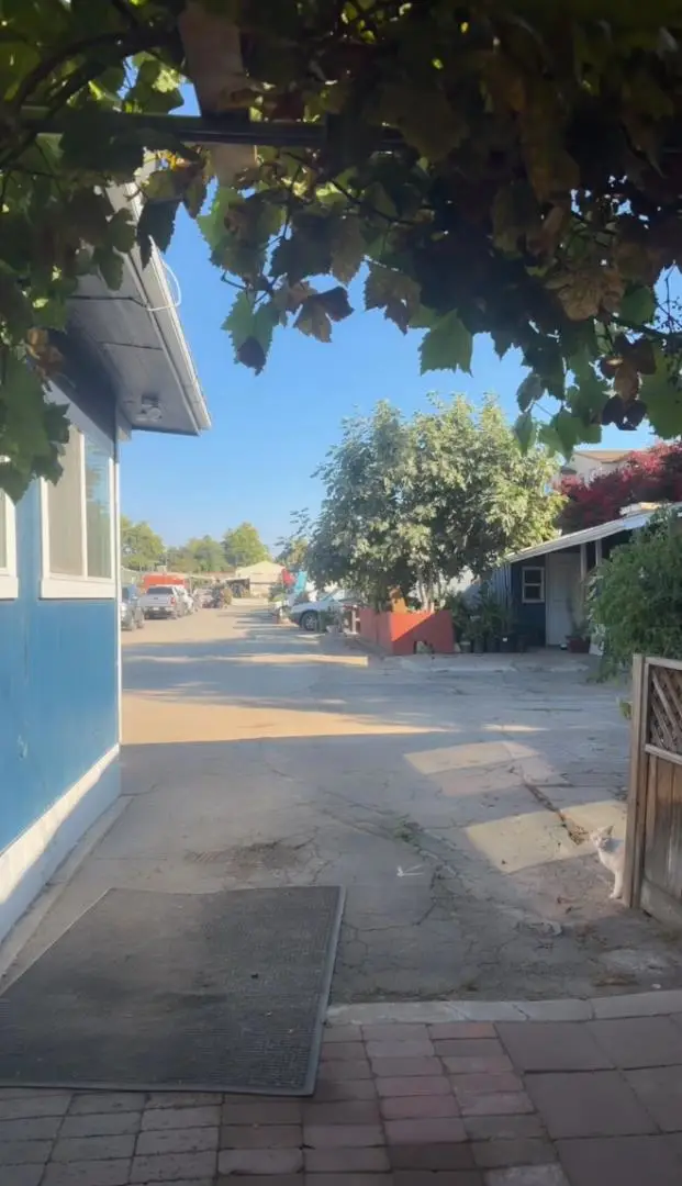 527 Mclaughlin Avenue #215, San Jose, CA 95116 - #3