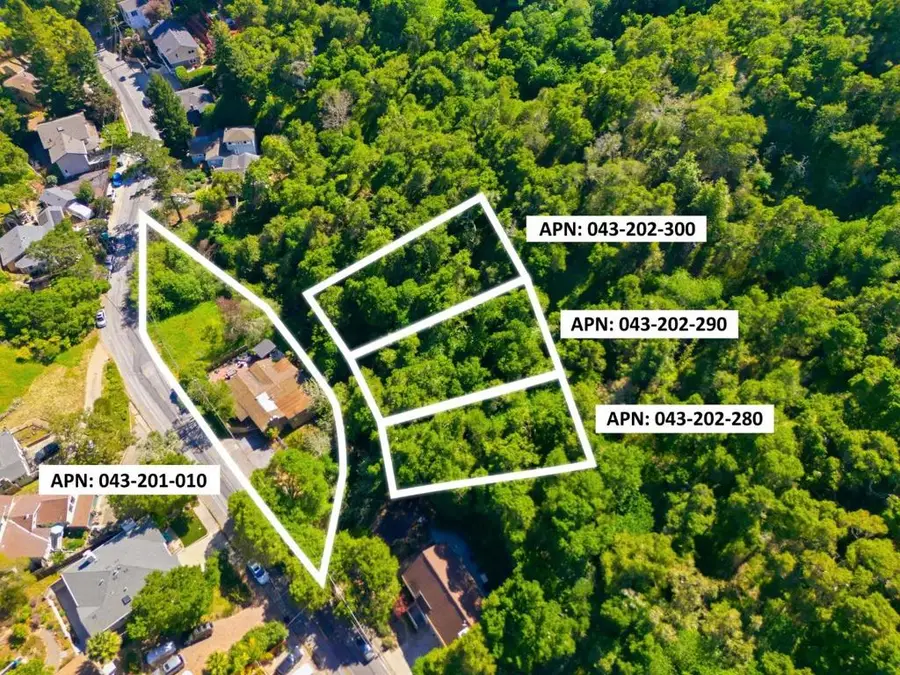 3009 San Juan Boulevard, Belmont, CA 94002 - #3