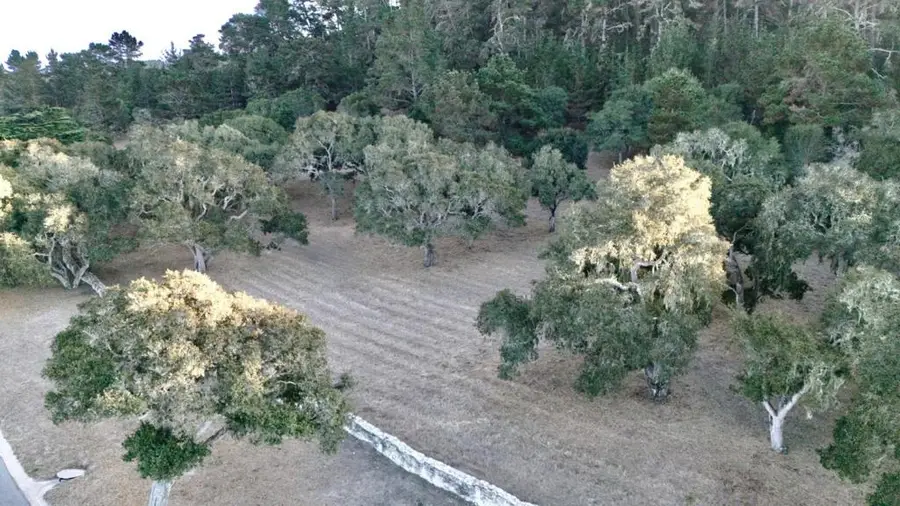 23990 Via Malpaso, Monterey, CA 93940 - #3