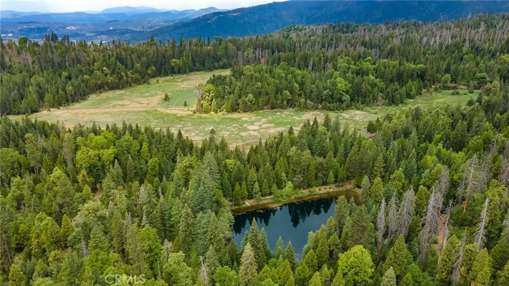 5657 Worman Road, Ahwahnee, CA 93601 - #1