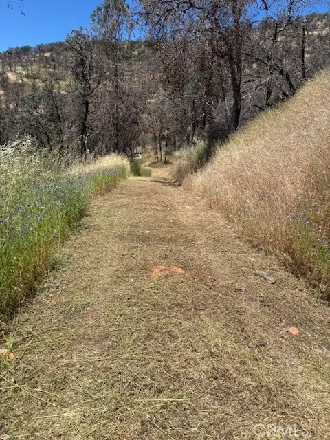 5358 Mariposa Heights Road, Mariposa, CA 95338 - #2