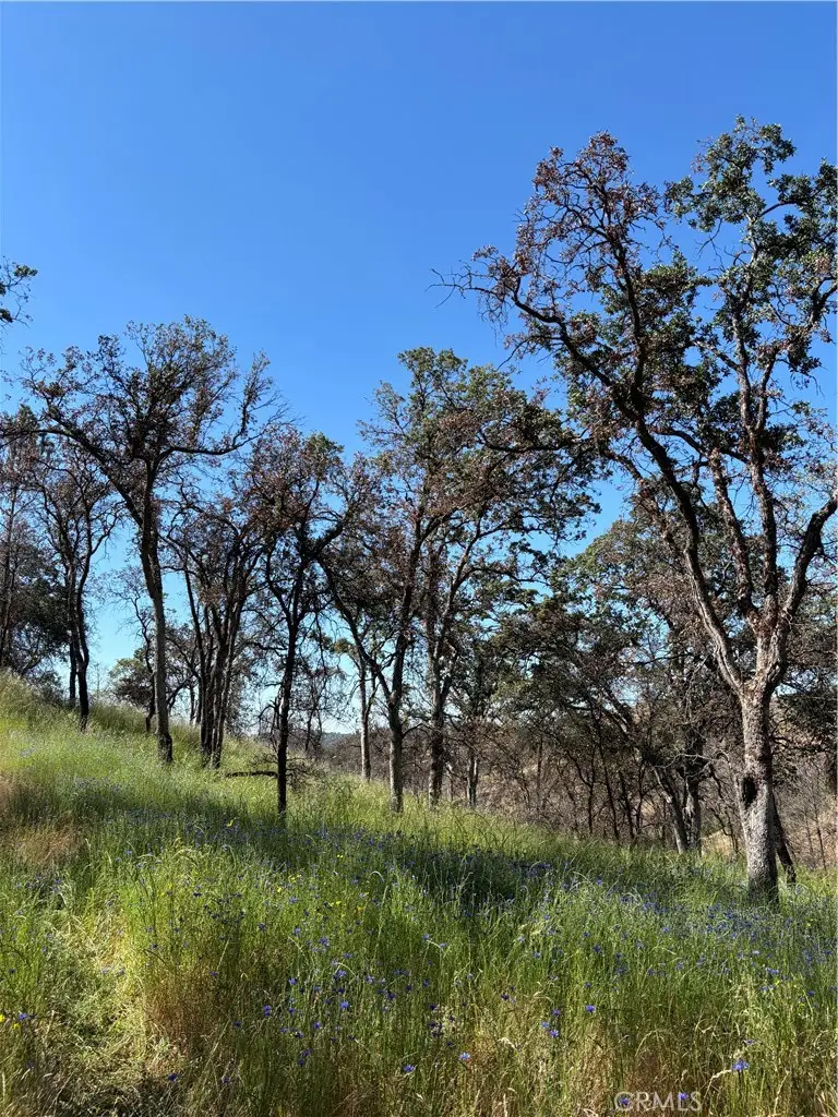 5358 Mariposa Heights Road, Mariposa, CA 95338 - #3