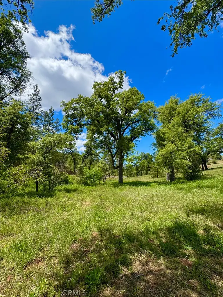 5628 E Whitlock Road, Mariposa, CA 95338 - #3