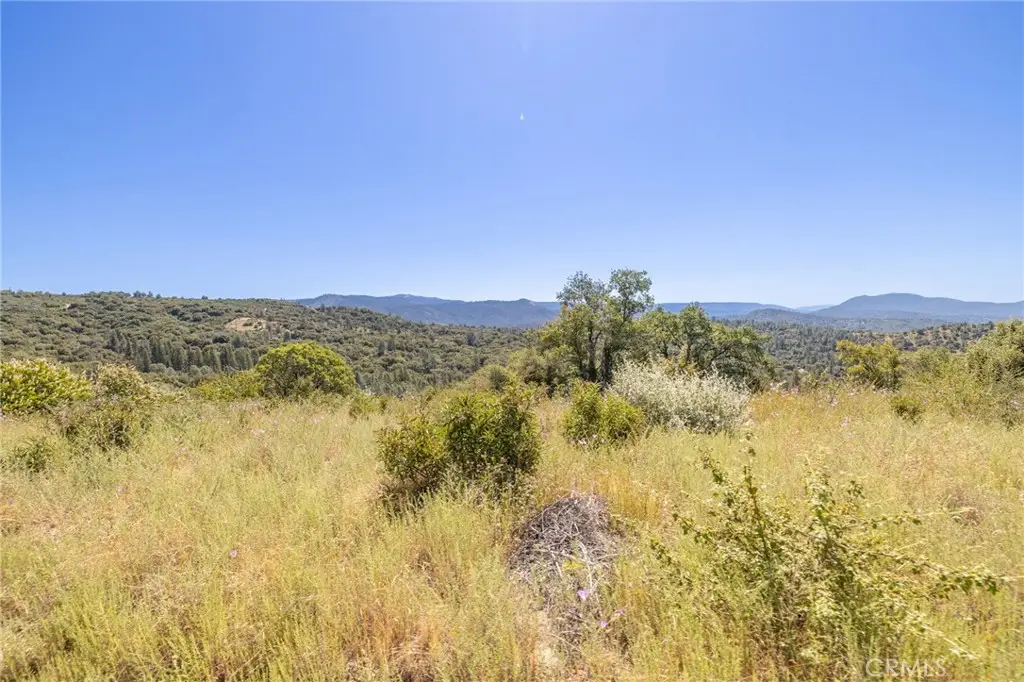 99 Acres Old Yosemite Road, Oakhurst, CA 93644 - #1