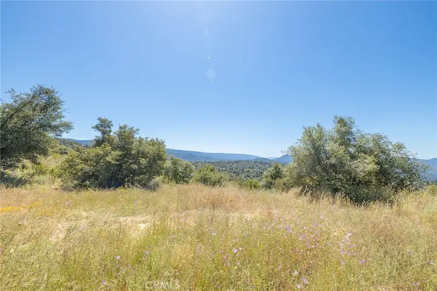 99 Acres Old Yosemite Road, Oakhurst, CA 93644 - #3