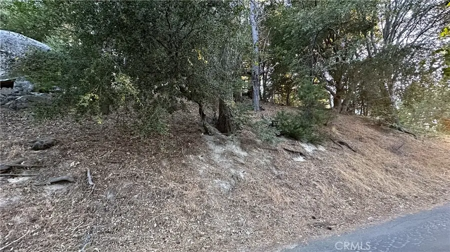 0 Mid Lane, Twin Peaks, CA 92391 - #2