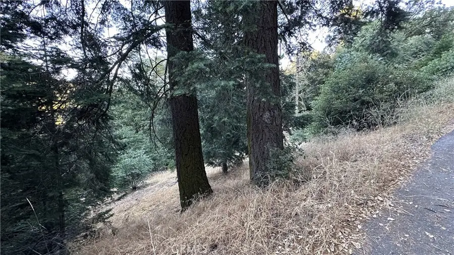 0 Fir, Cedarpines Park, CA 92322 - #2