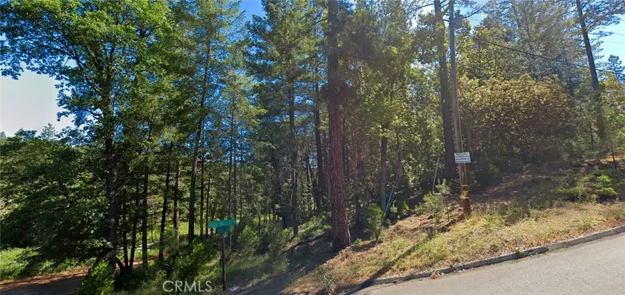 20935 Todd Valley Road, Foresthill, CA 95631 - #2