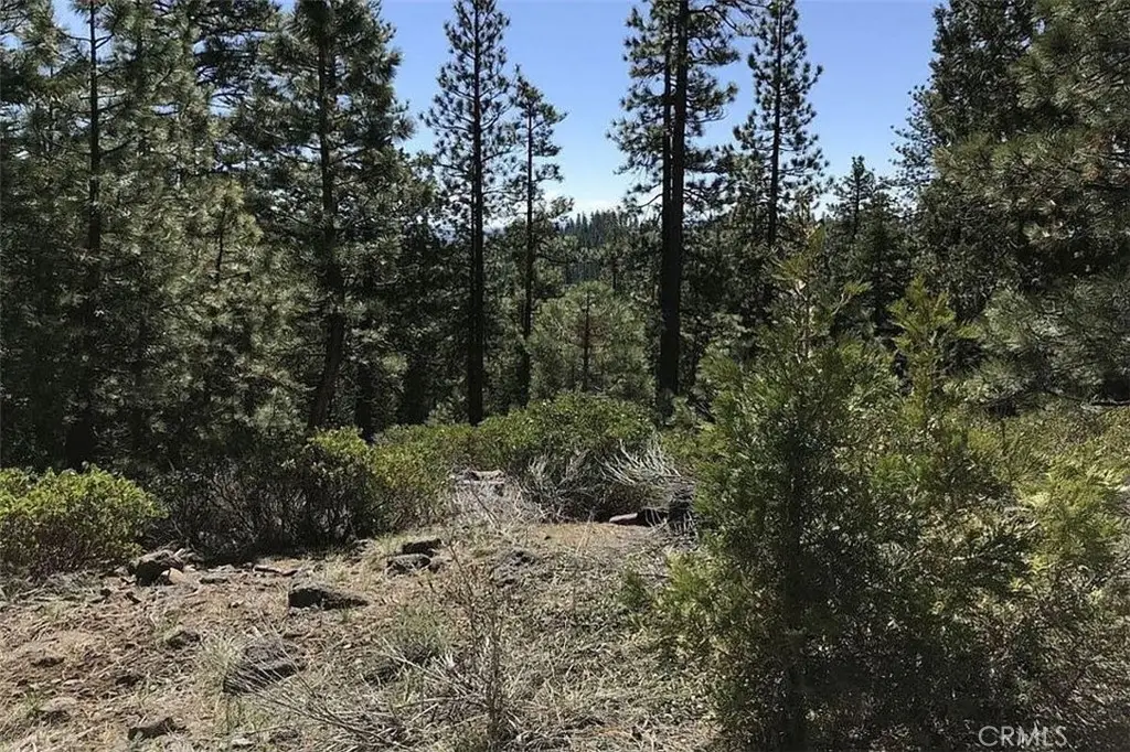 0 Falcon Road, California Pines, CA 96101 - #1