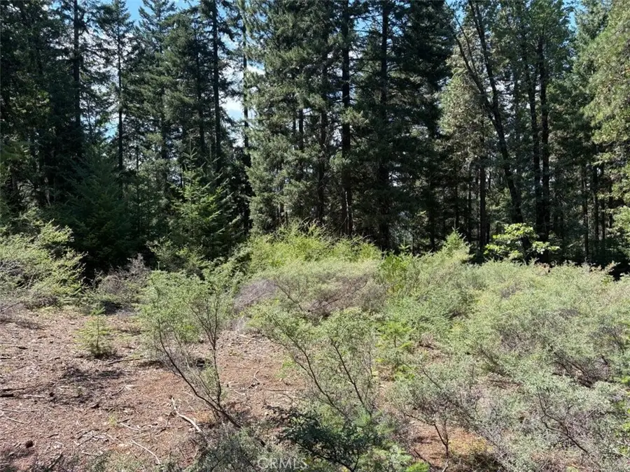 9936 Fobes, Morongo Valley, CA 92256 - #2