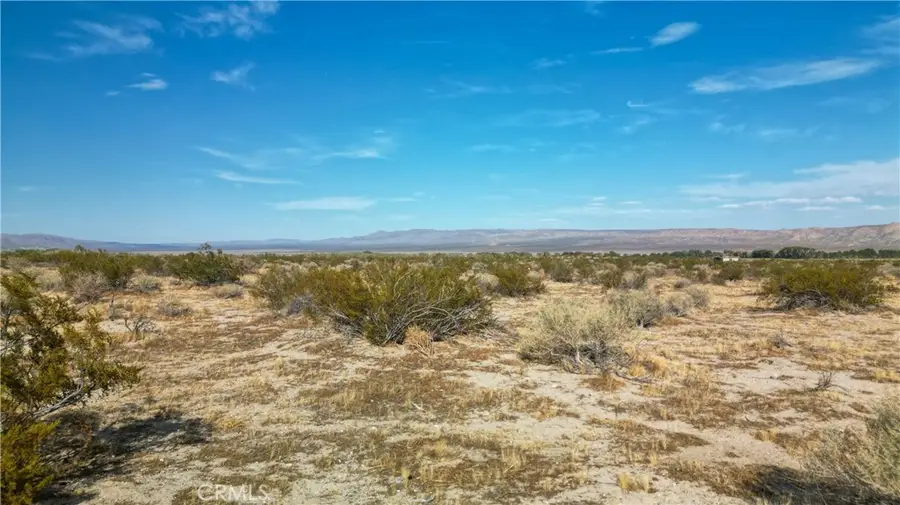 10313 E Lake Road, Cantil, CA 93519 - #2