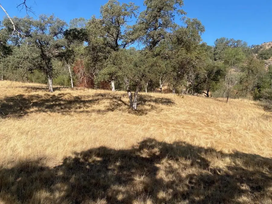 8 Tioga Drive, Coarsegold, CA 93614 - Image #3