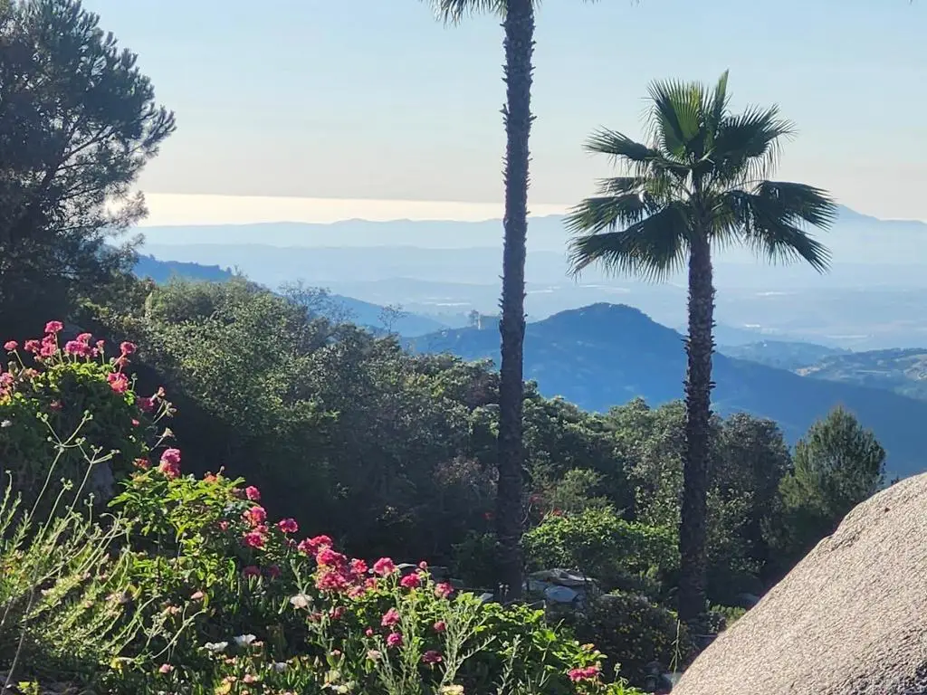 Sage Hill Way, Escondido, CA 92026 - #1