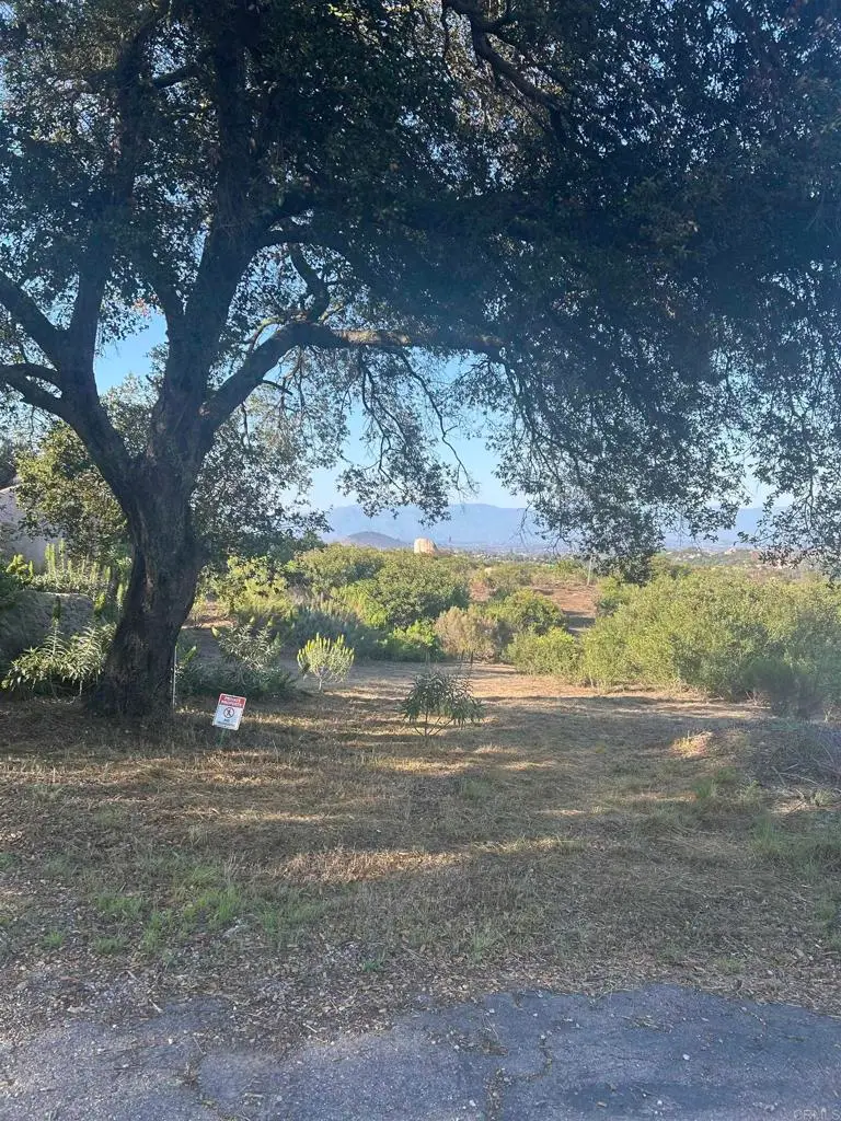 High Mountain Lane, Escondido, CA 92026 - #2