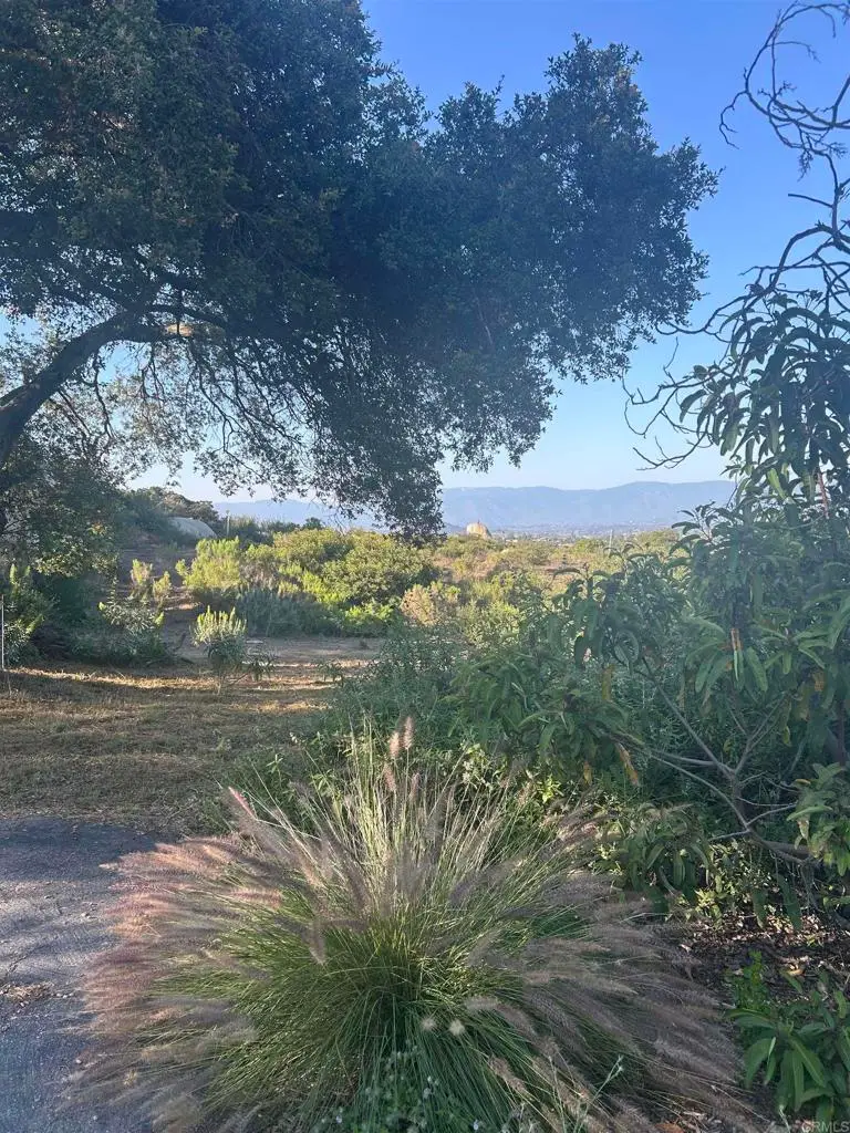 High Mountain Lane, Escondido, CA 92026 - #3