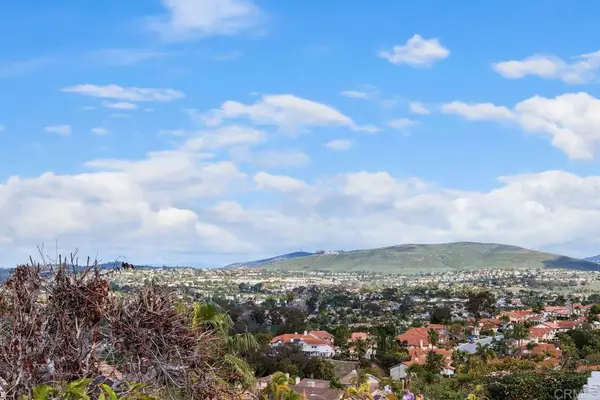 1402 Village View Road, Encinitas, CA 92024