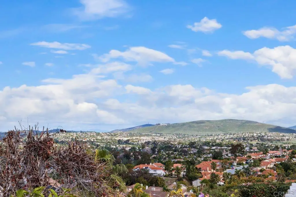 1402 Village View Road, Encinitas, CA 92024 - #1