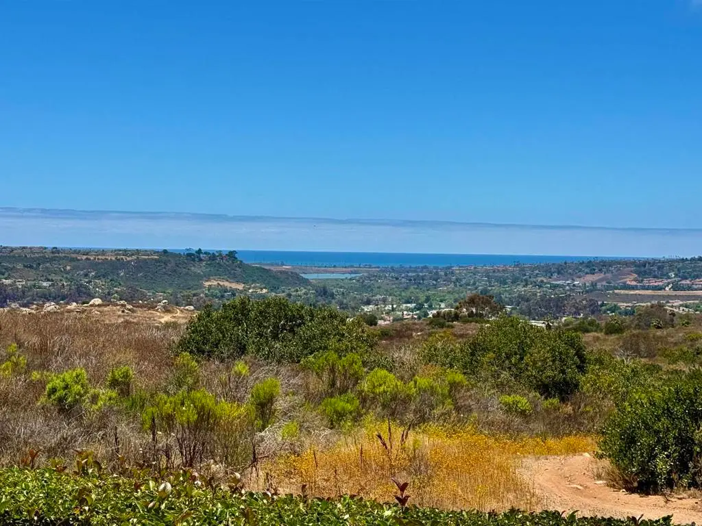 4168 Andros Way, Oceanside, CA 92056 - #1