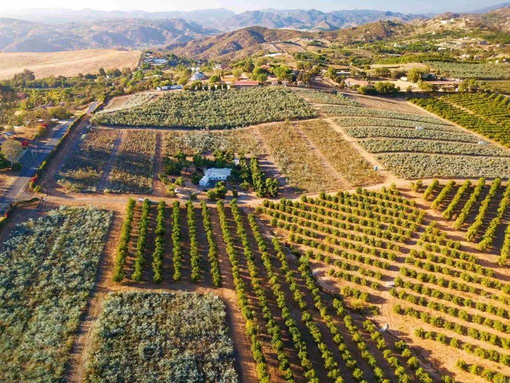 31817 Via Ararat Drive, Bonsall, CA 92003 - #1