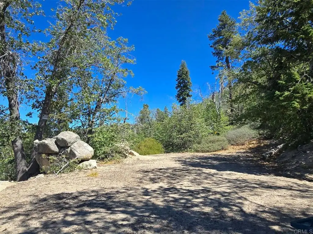 0 San Antonio Drive, Green Valley Lake, CA 92341 - #1