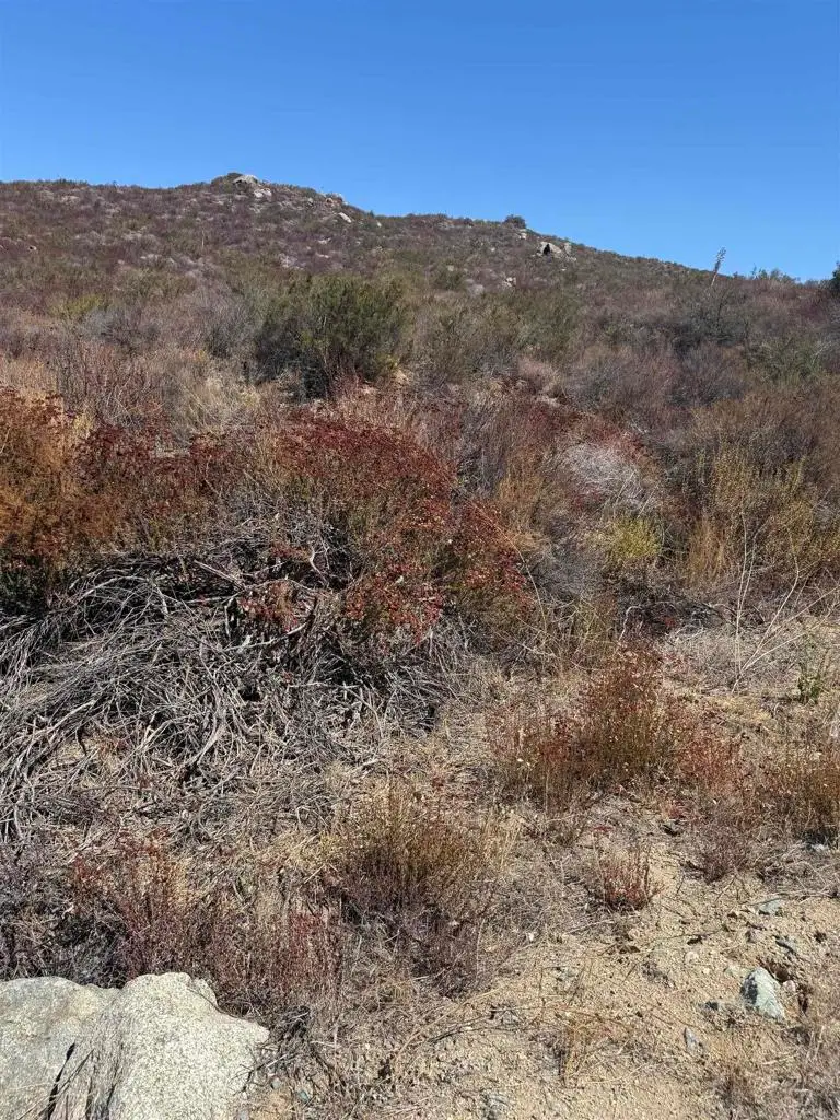 Lot 2 Japatul Rd., Alpine, CA 91901 - #3