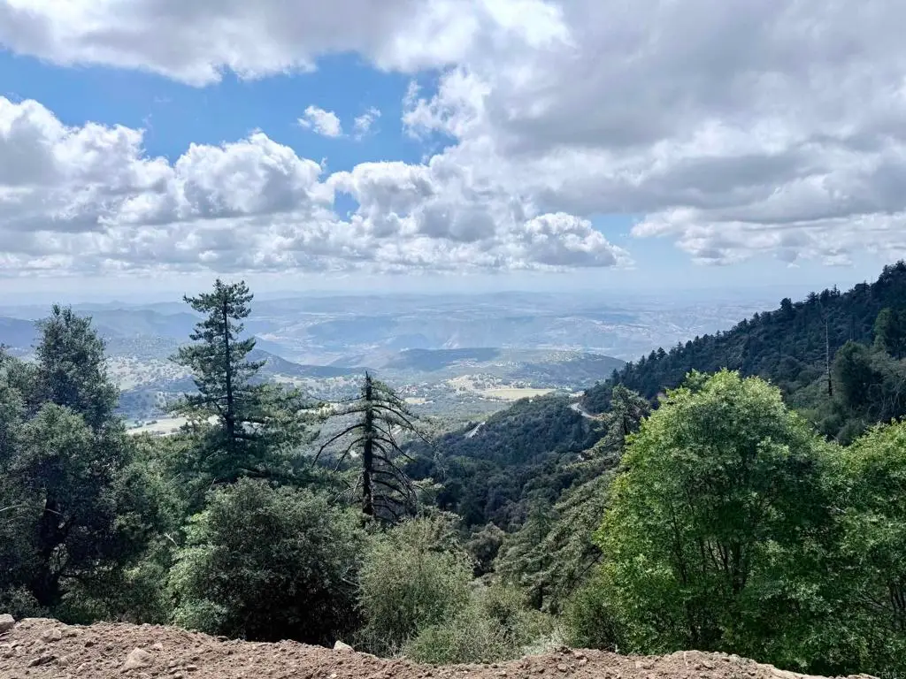 32900 South Grade Road, Palomar Mountain, CA 92060 - #1