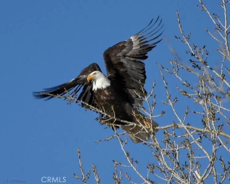 14780 Elizabeth Lake Road, Elizabeth Lake, CA 93532 - #2