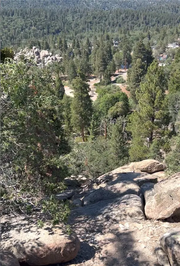 1 Deer Lick Drive, Arrowbear, CA 92382