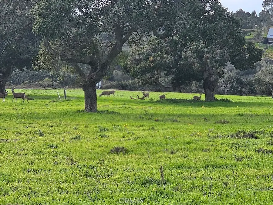 2681 Flora Road, Lompoc, CA 93436 - Image #2