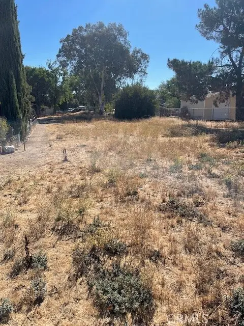 286 1st, Shandon, CA 93461 - #3