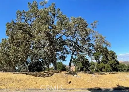 9970 Bluegill Drive, Paso Robles, CA 93446 - #3