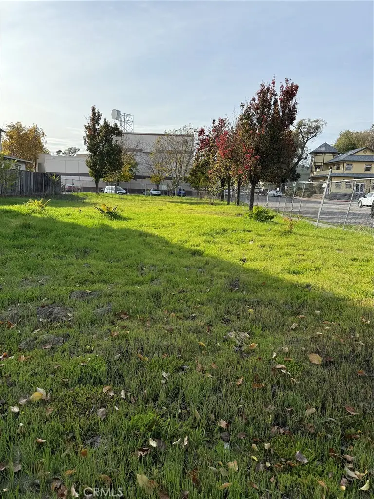 1446 Park, Paso Robles, CA 93446 - #3