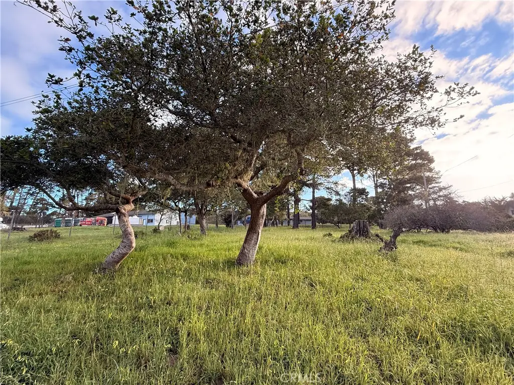 6126 Charing, Cambria, CA 93428 - #1