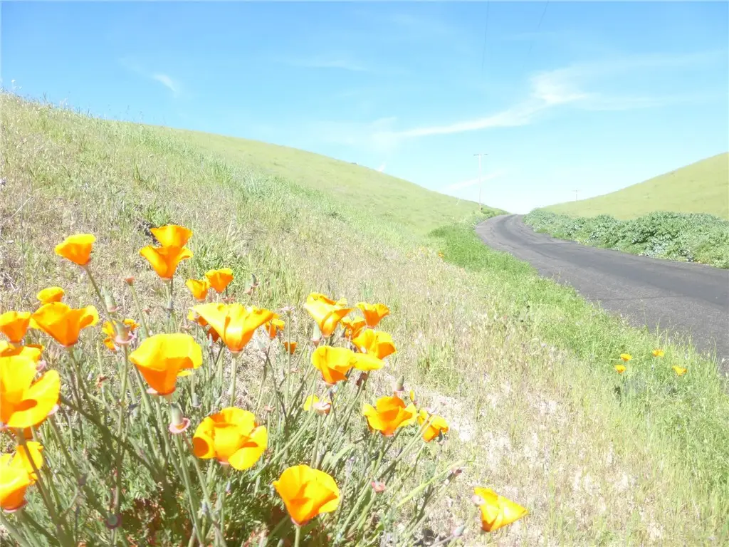 0 Douglas Rd. (lots 28, 33 & 34), San Miguel, CA 93451 - #1