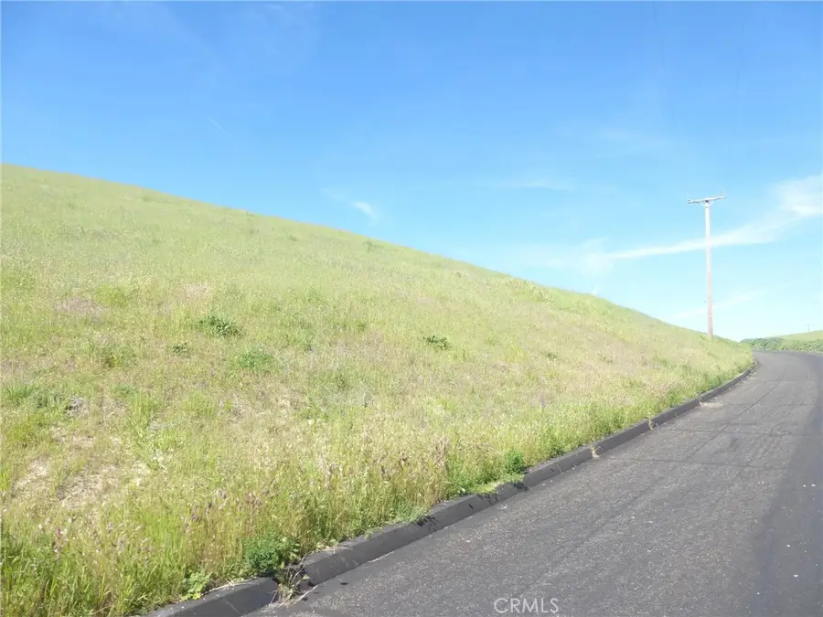 0 Douglas Rd. (lots 28, 33 & 34), San Miguel, CA 93451 - #3