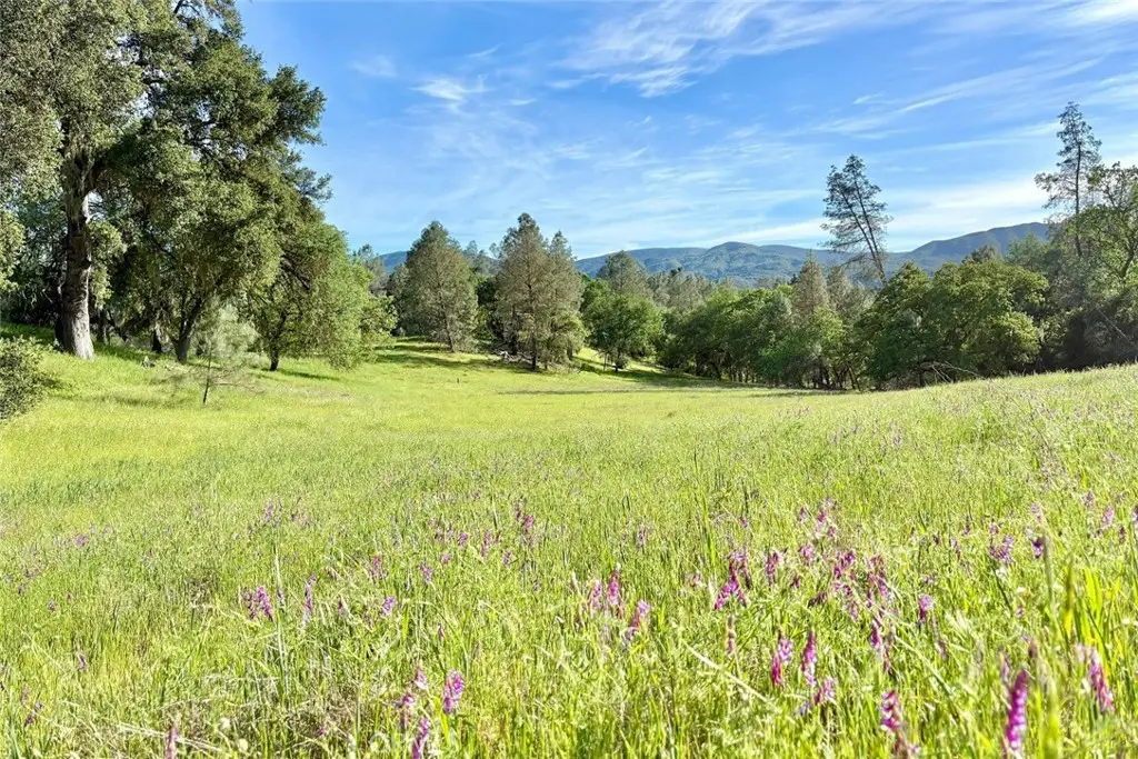 75370 Turkey Lane, Bradley, CA 93426 - #1