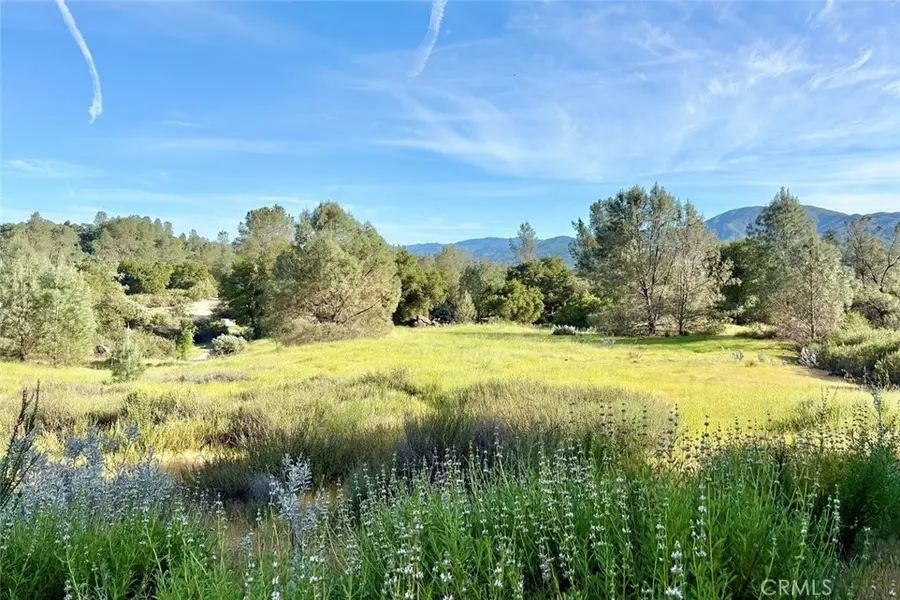 75370 Turkey Lane, Bradley, CA 93426 - #3