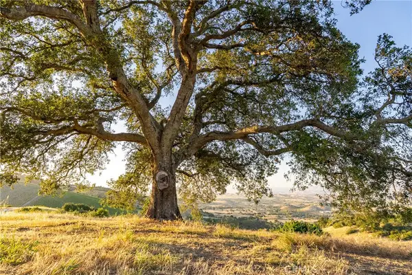 2762 Adelaida Road, Paso Robles, CA 93446
