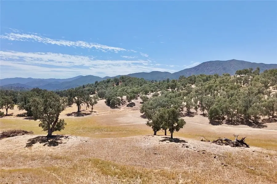 49460 Sapaque Road, Bradley, CA 93426 - #2