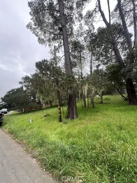 0 Mills, Cambria, CA 93428 - #2