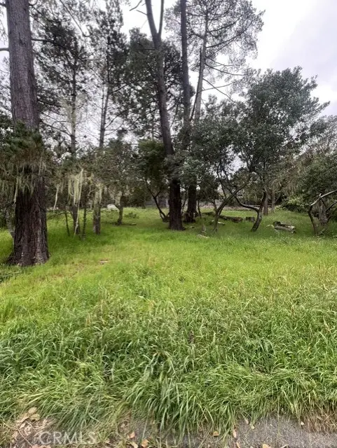 0 Mills, Cambria, CA 93428 - #3