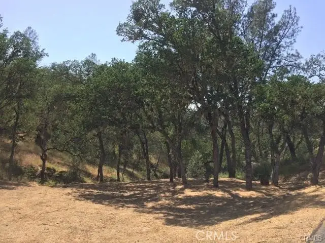 2677 Pine Ridge Road, Bradley, CA 93426 - #1