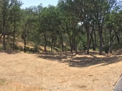 2677 Pine Ridge Road, Bradley, CA 93426 - #2