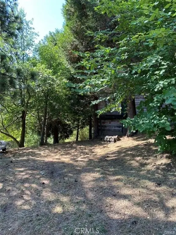 0 Pine Drive, Cedarpines Park, CA 92322